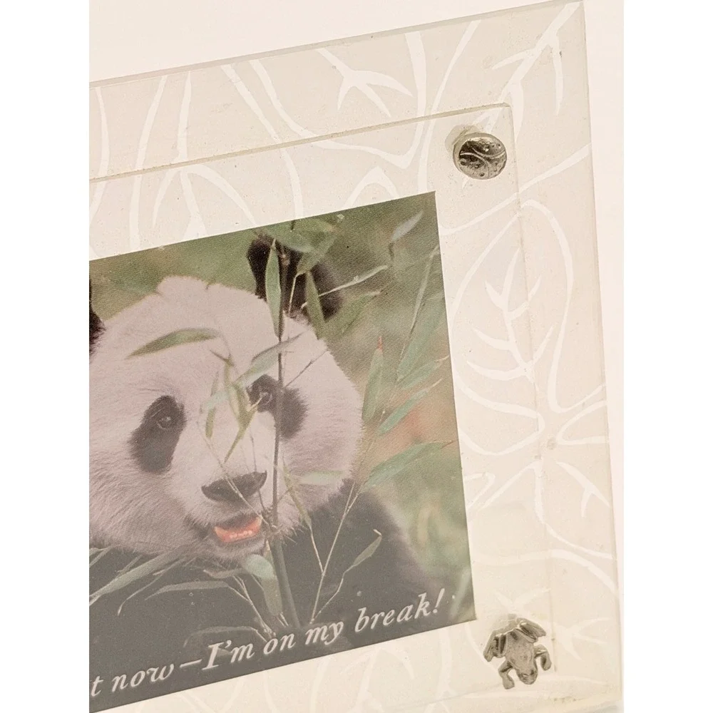 Frosted Acrylic Picture Frame with Metal Bug Accents Butterfly Bee Frog Panda